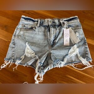 Daze Denim Shorts